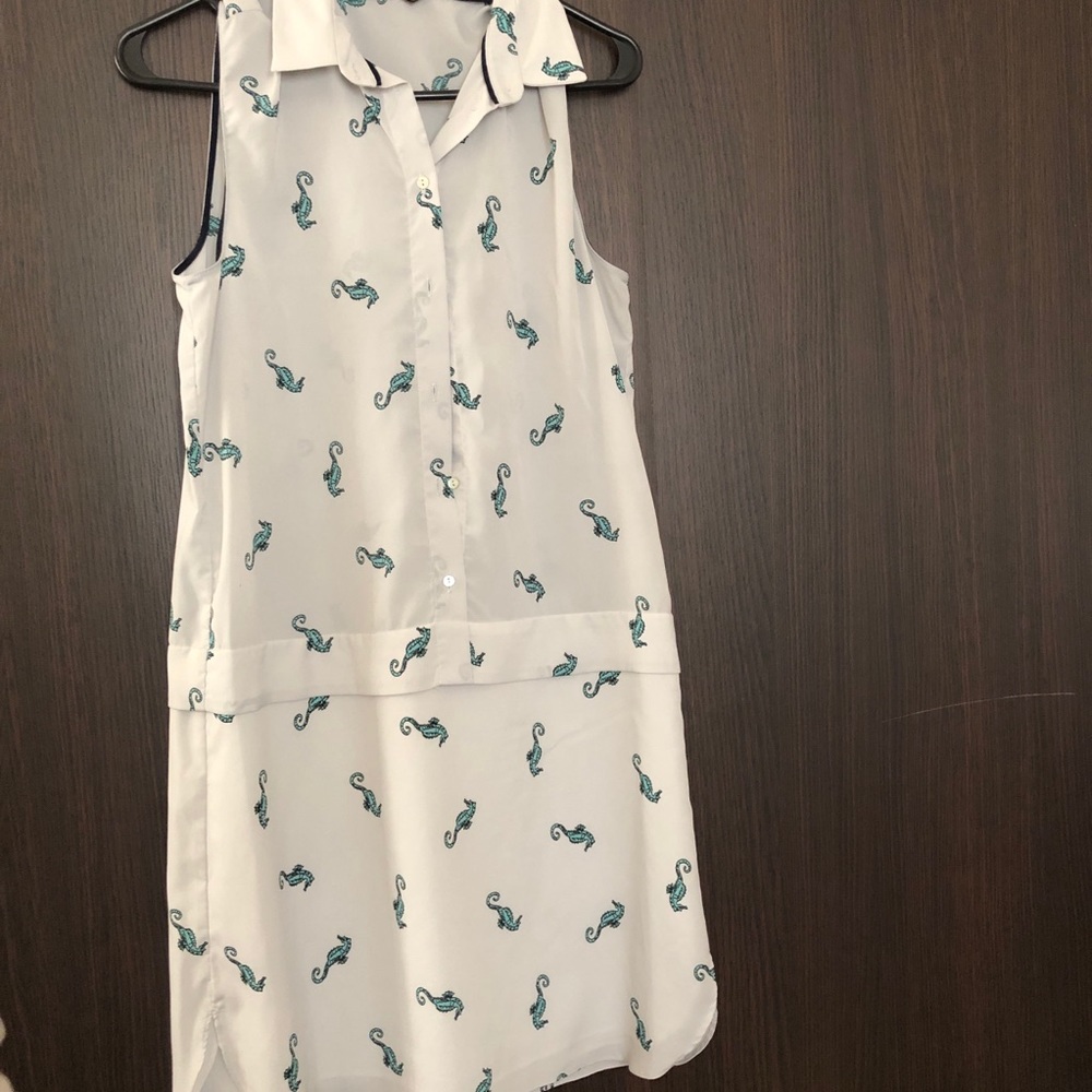 Zara dress
